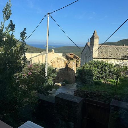 Joli T2 In Cap Corse Lägenhet Ersa Exteriör bild